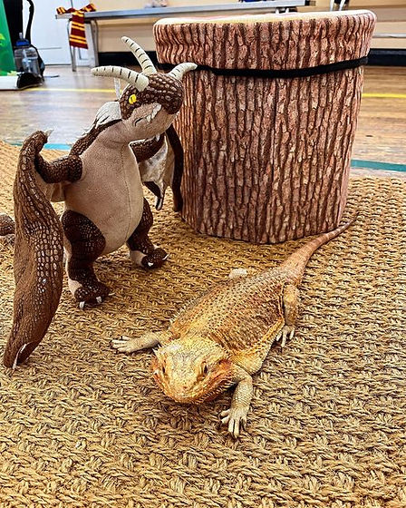 Dragon & Bearded Dragon.jpg