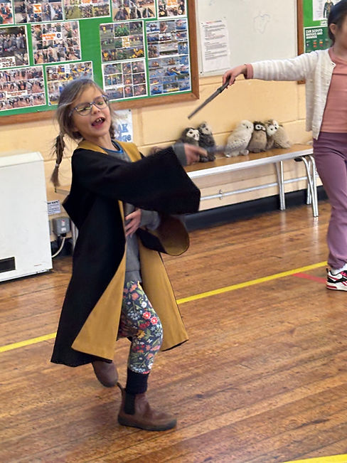 Wizard Duel Hufflepuff.jpg