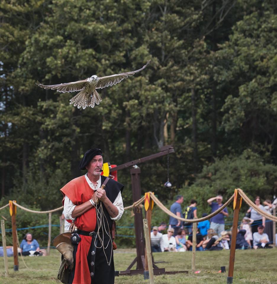 England's Medieval Festival Falconry