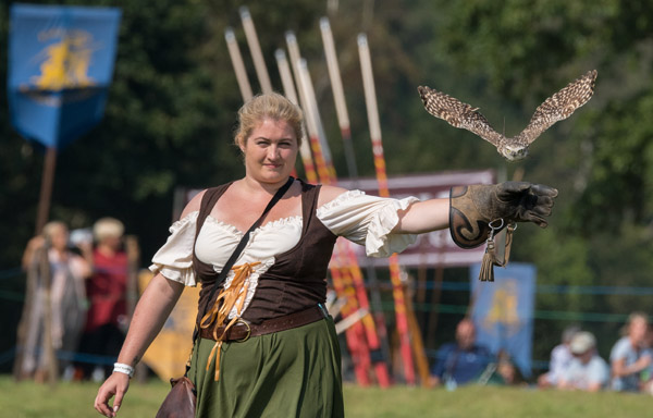 England's Medieval Festival Falconry