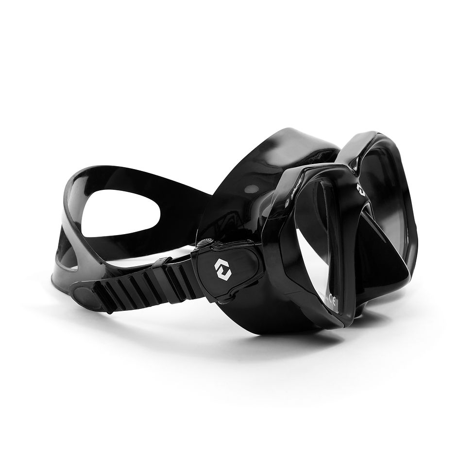 Thumbnail: DynamicNord VM-50 Advanced Mask