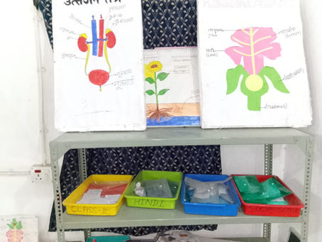 Focus on Science in Balkendra