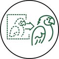 image to vector.png
