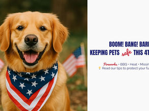 Golden retriever wearing a star-spangled scarf, smiling with U.S. flags in background. Text: "Keeping pets safe this 4th of July."