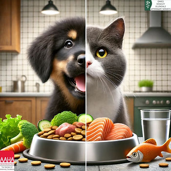 A healthy dog and cat each enjoying a balanced diet.