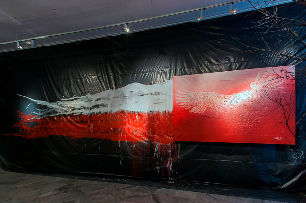 Obraz 180 x 280 Biało -Czerwony Ptak .jpg