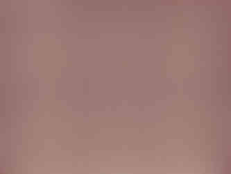 A swatch of SCABAL fabric