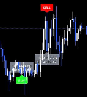 WhatsApp Image 2025-12-27 at 14.27.33.jpeg