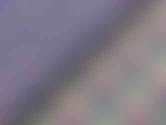 Checked pure cotton shirt fabric