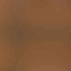 A swatch of DORMEUIL cloth