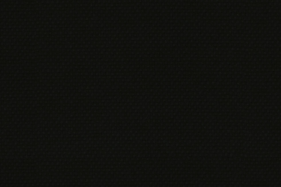 Dormeuil No.794406