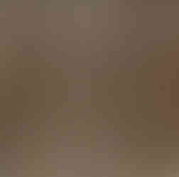 A swatch of DORMEUIL cloth