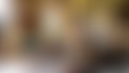 CABINET OF CURIOSITIES