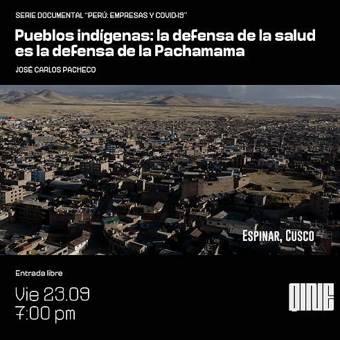 04 pueblos indigenas_Mesa de trabajo 1.png