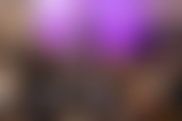 Galerie Palmeri Requiem