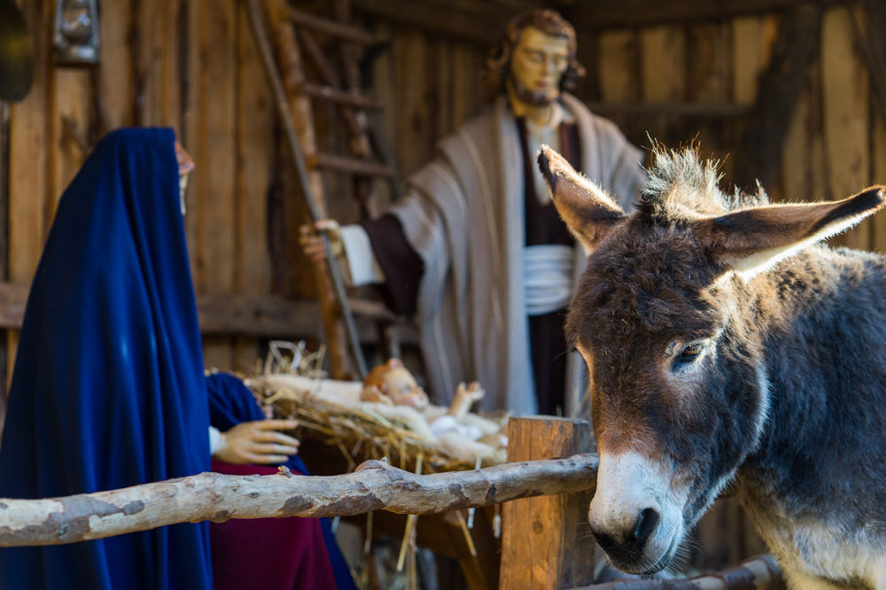 2015 - Große Ereignisse und viel Neues