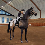 StarStable_2021-11-26_13-15-18_edited.jpg
