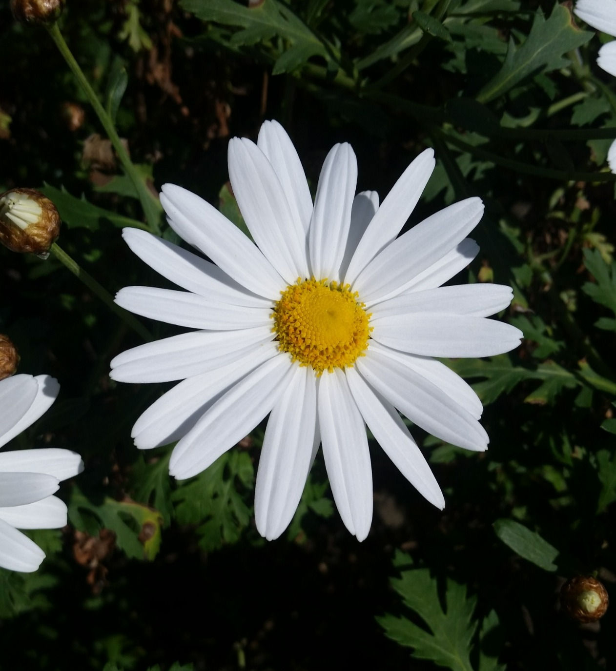 Energy Healing, Stephanie Hanley