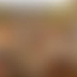 Feldkirch appare subito graziosa