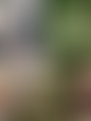 Some Problems with Sustainable Fashion