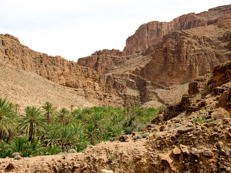 Day Four: Genesis 11-13