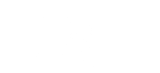 Logo Nane branca sem fundo.png