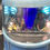 Thumbnail: Red Dwarf - Blue Midget