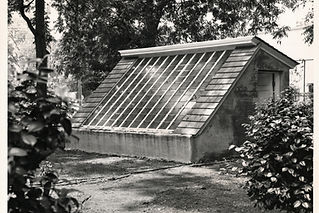 2000s Fern house.jpeg