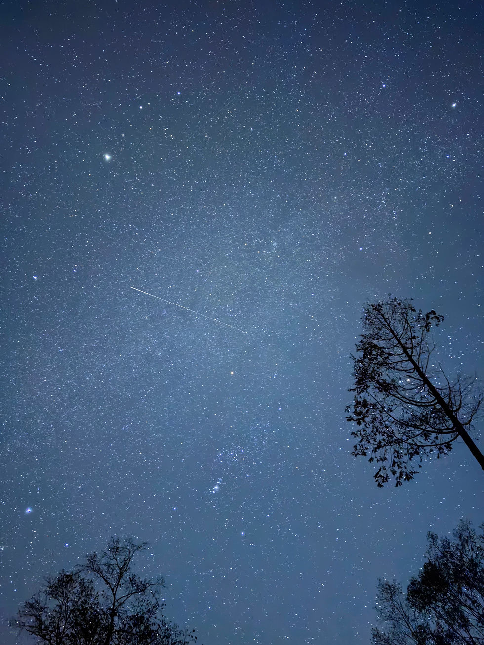 山梨グランピングで星空を楽しむ方法|標高1,200mの絶景夜空
