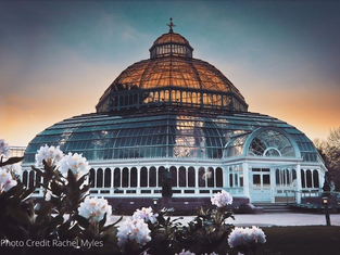 Herstory Walks - Palm House, & The Liverpool Suffragettes