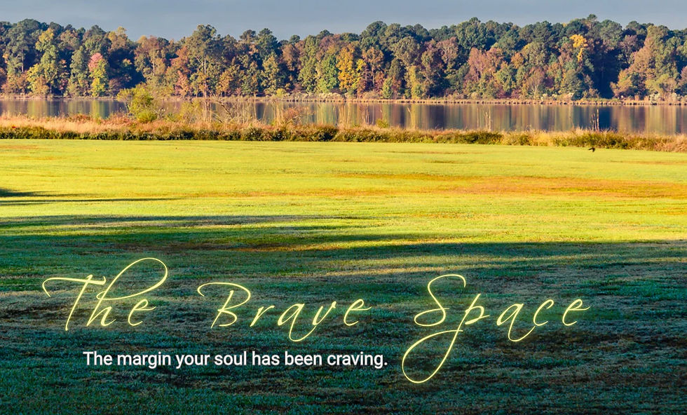 The Brave Space