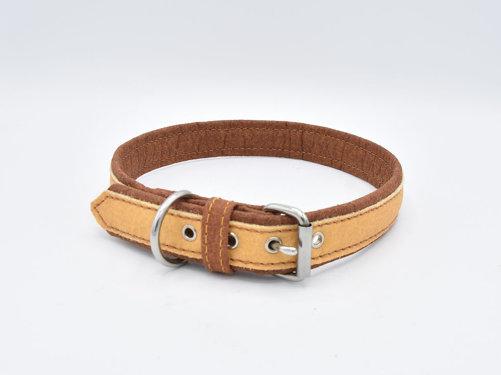 Miniaturbild: Hundehalsband "basic"