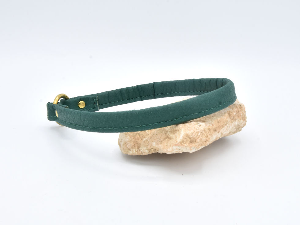 Miniaturbild: Hundemarkenhalsband "amazon green"