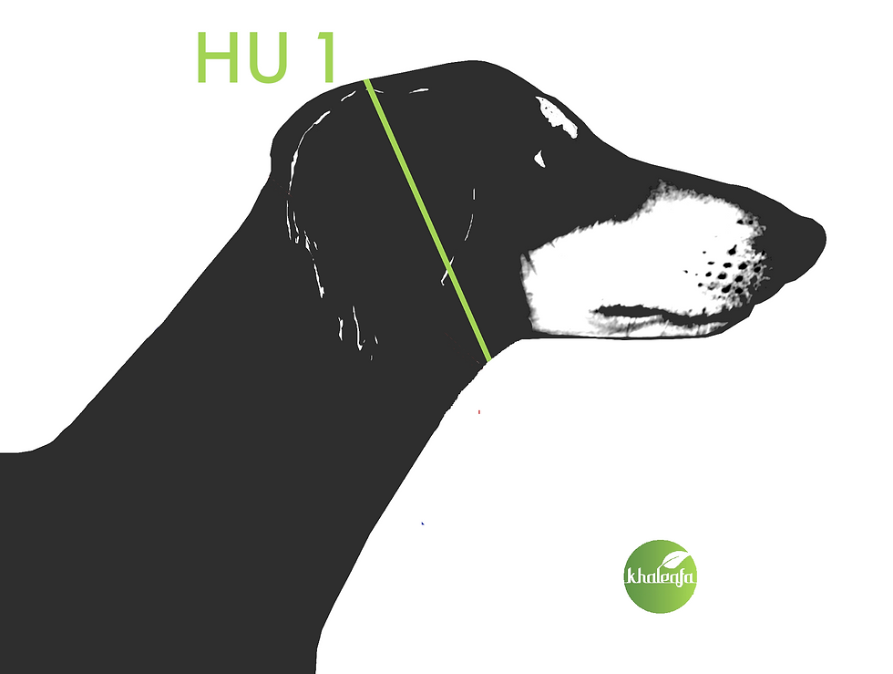 Miniaturbild: Recycling - Perlenhalsband "earth"