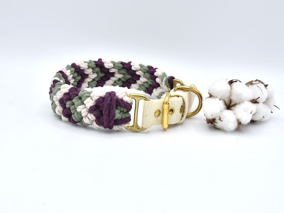 Miniaturbild: SOFORTKAUF Makrameehalsband "Arrows"