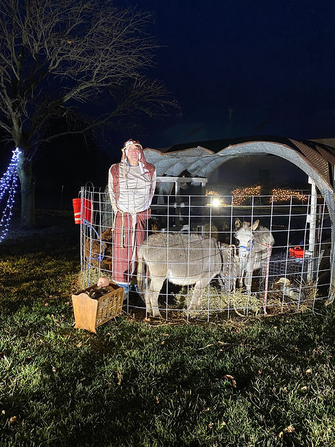 nativity.jpg