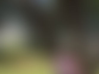 Rooted,Grounded, and Centered