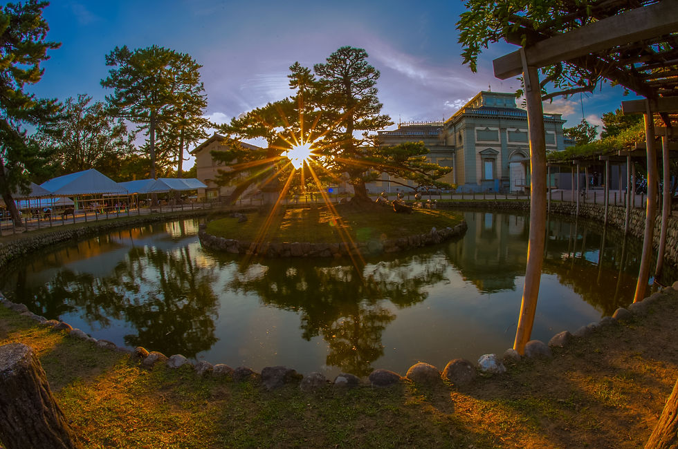 Nara Japan Deer Pond Sunrise Sunset Timelapse Nature