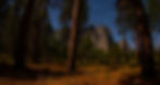 Tall trees in a Yosemite forest under a clear night sky with star trails. A rocky mountain is visible in the background, creating a serene scene.