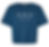 Hibiscus Crop Top