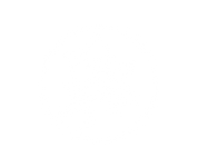 noize Kopie.png