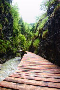 Griesbachklamm-steg-wood-path-tirol-tyrol