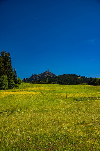 Kitzhorn-kitzbüheler-horn-st-johann-blumenwiese-flower-meadow-blue-sky-wanderung.jpg