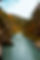 12-river-bridge-herbst-autumn-fall-herbst-schlucht-gorge-wilder-kaiser-tirol-kaiserwinkl-t