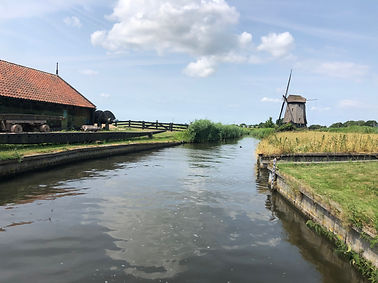 IMG_2149.jpeg