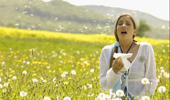 Hay fever season is on its way!
