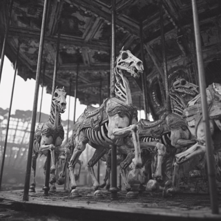 skeletal horses bw gif.gif