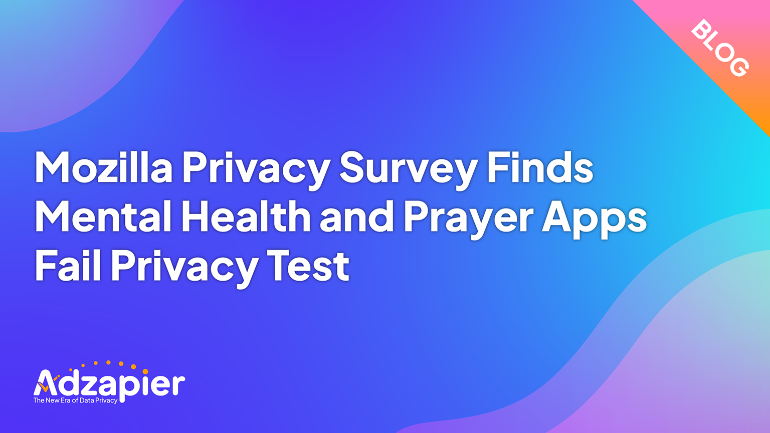 Mozilla Privacy Survey