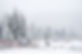 A winter landscape in the Colorado wilde