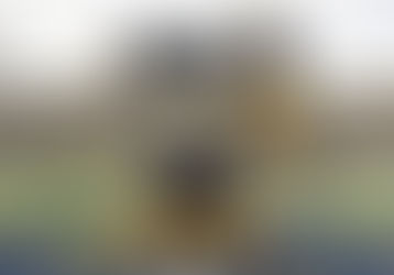 2024 Notre Dame Recruiting Update and Predictions: Offense